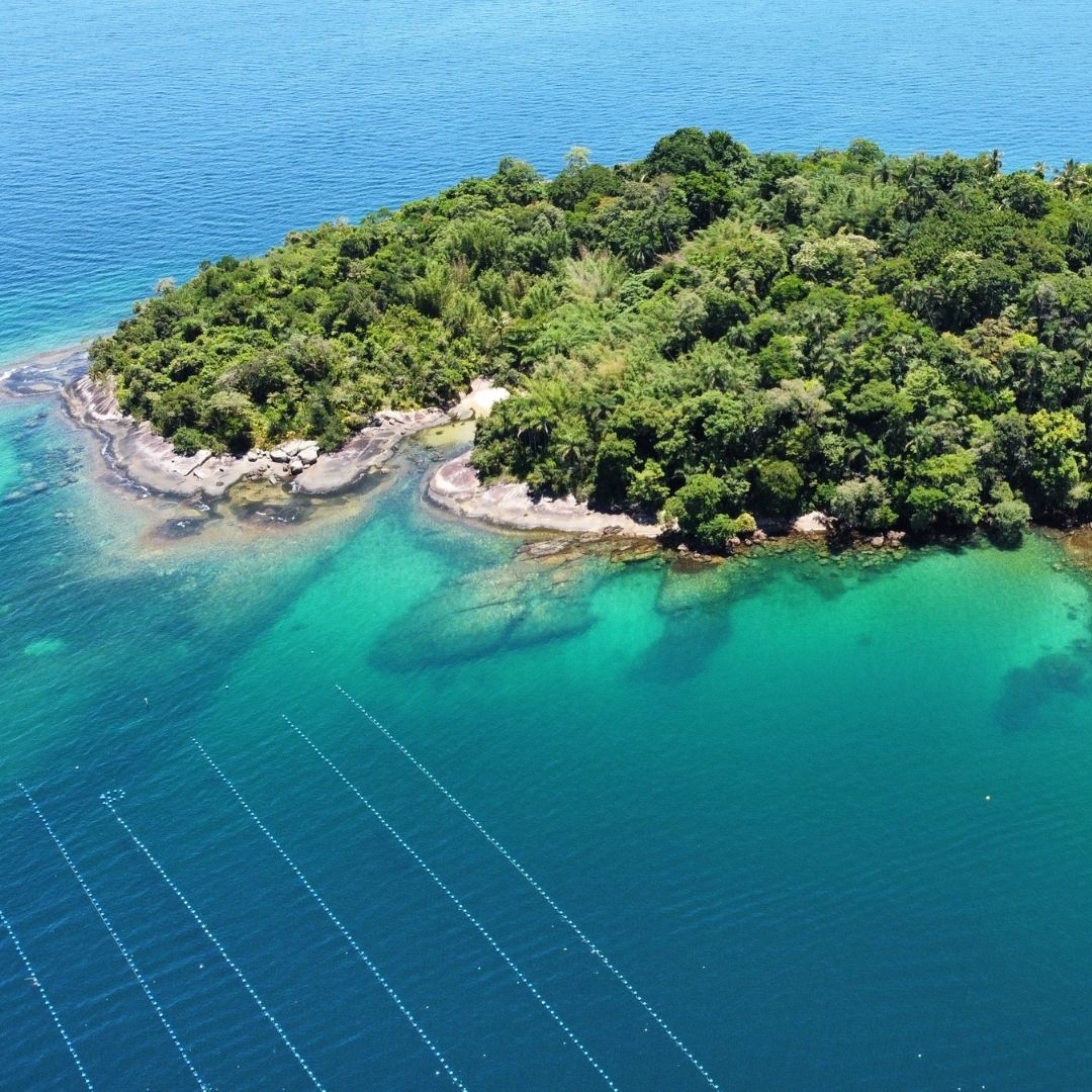 Passeios de Lancha em Angra e Ilha Grande Bela Angra Passeios Náuticos 3